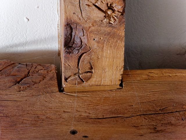 A Close Up Of A Piece Of Wood With A Clock Carved Into It — ASAP Pest Control in Inala, QLD