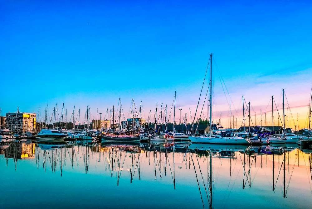 A Row Of Boats Are Docked In A Harbor At Sunset — ASAP Pest Control in Ipswich, QLD