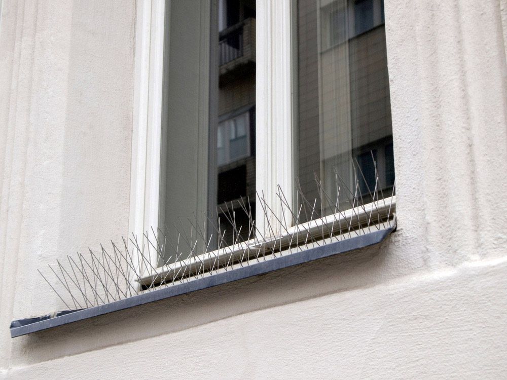 A Window On A Building With Spikes On It — ASAP Pest Control in Brisbane South, QLD