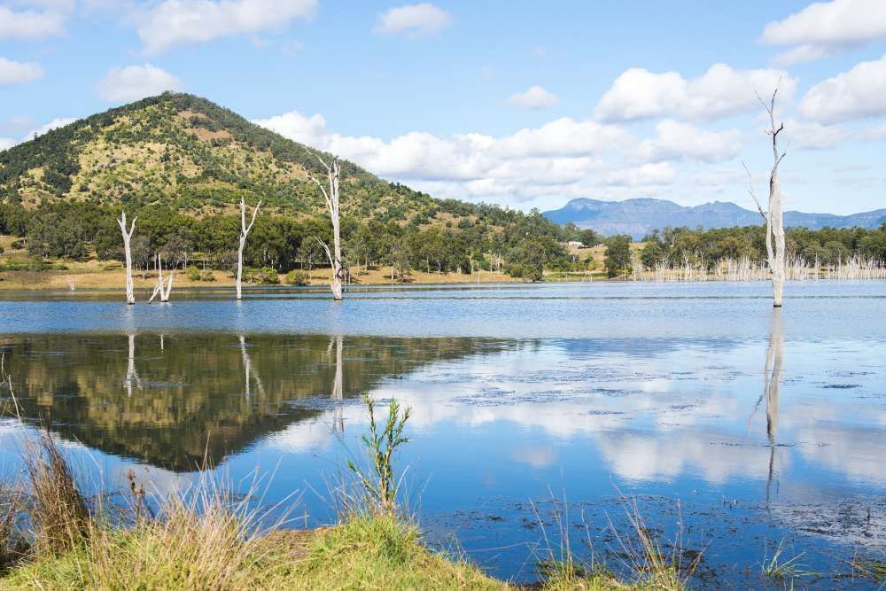 A Lake With A Mountain In The Background And Trees In The Foreground — ASAP Pest Control in Scenic Rim, QLD