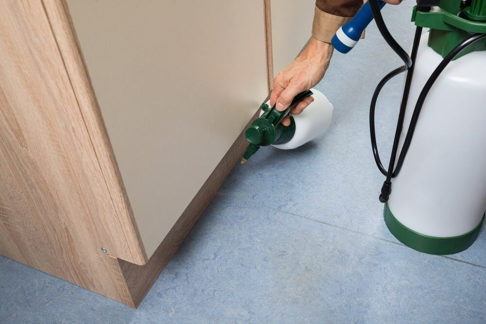 A Person Is Spraying A Cabinet With A Spray Bottle — ASAP Pest Control in Yeerongpilly, QLD