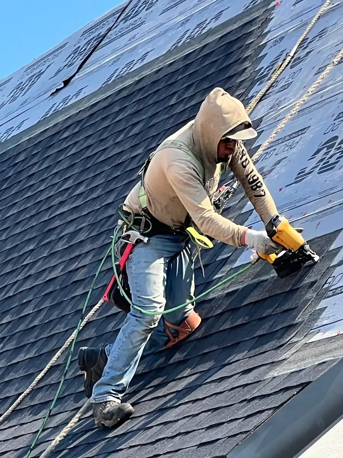 Roofer in safety harness installing dark shingles with a nail gun on a sunny day.
