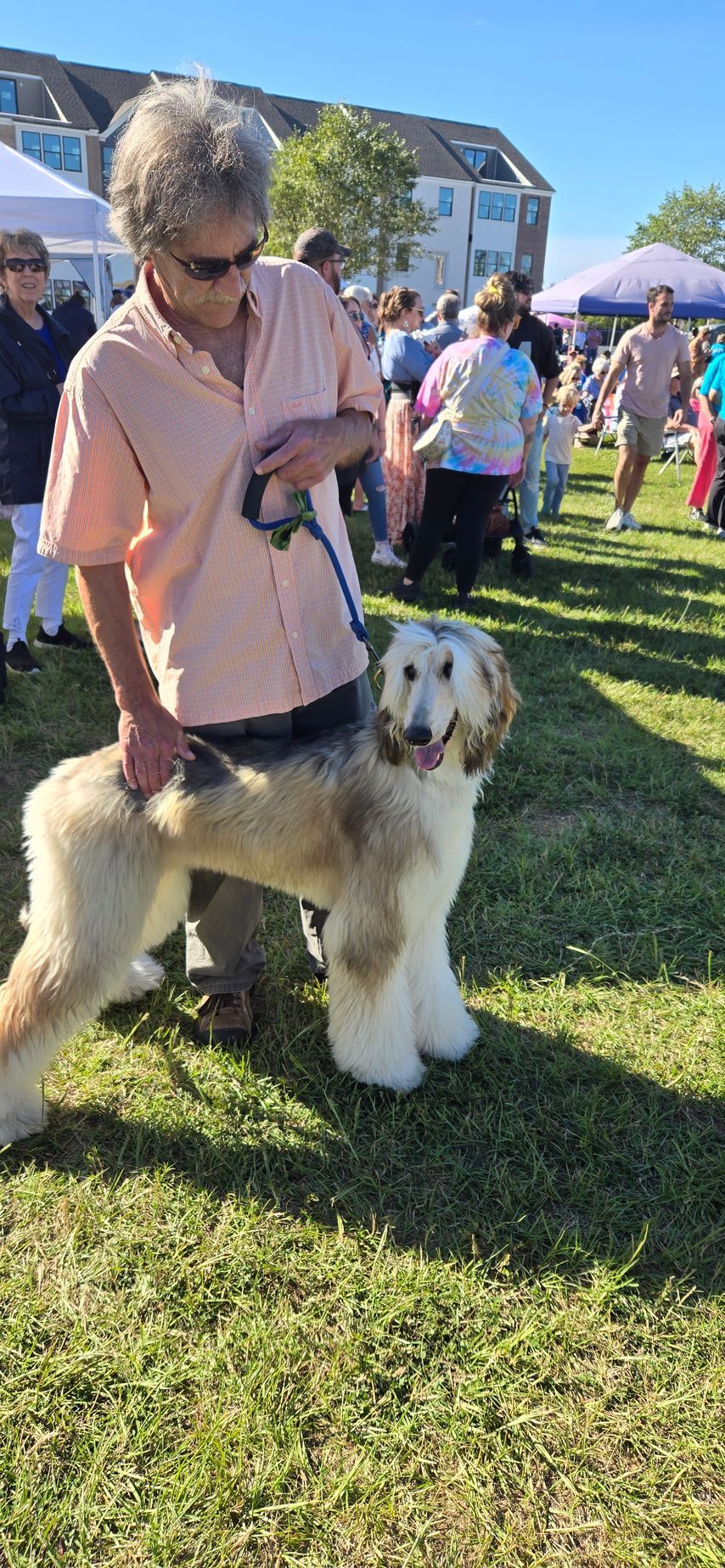 A man is holding a dog on a leash in a field.