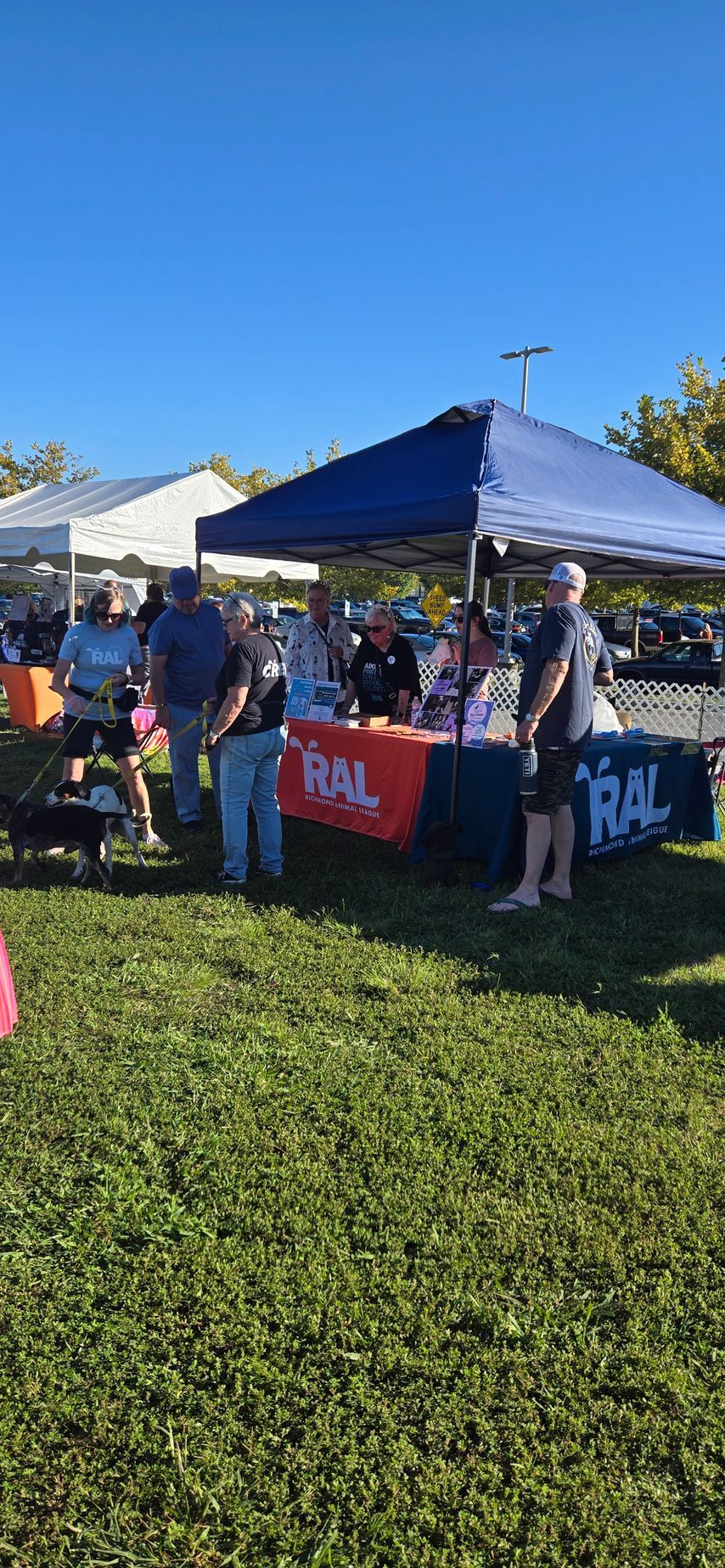 A group of people are standing around tables under tents in a park.
