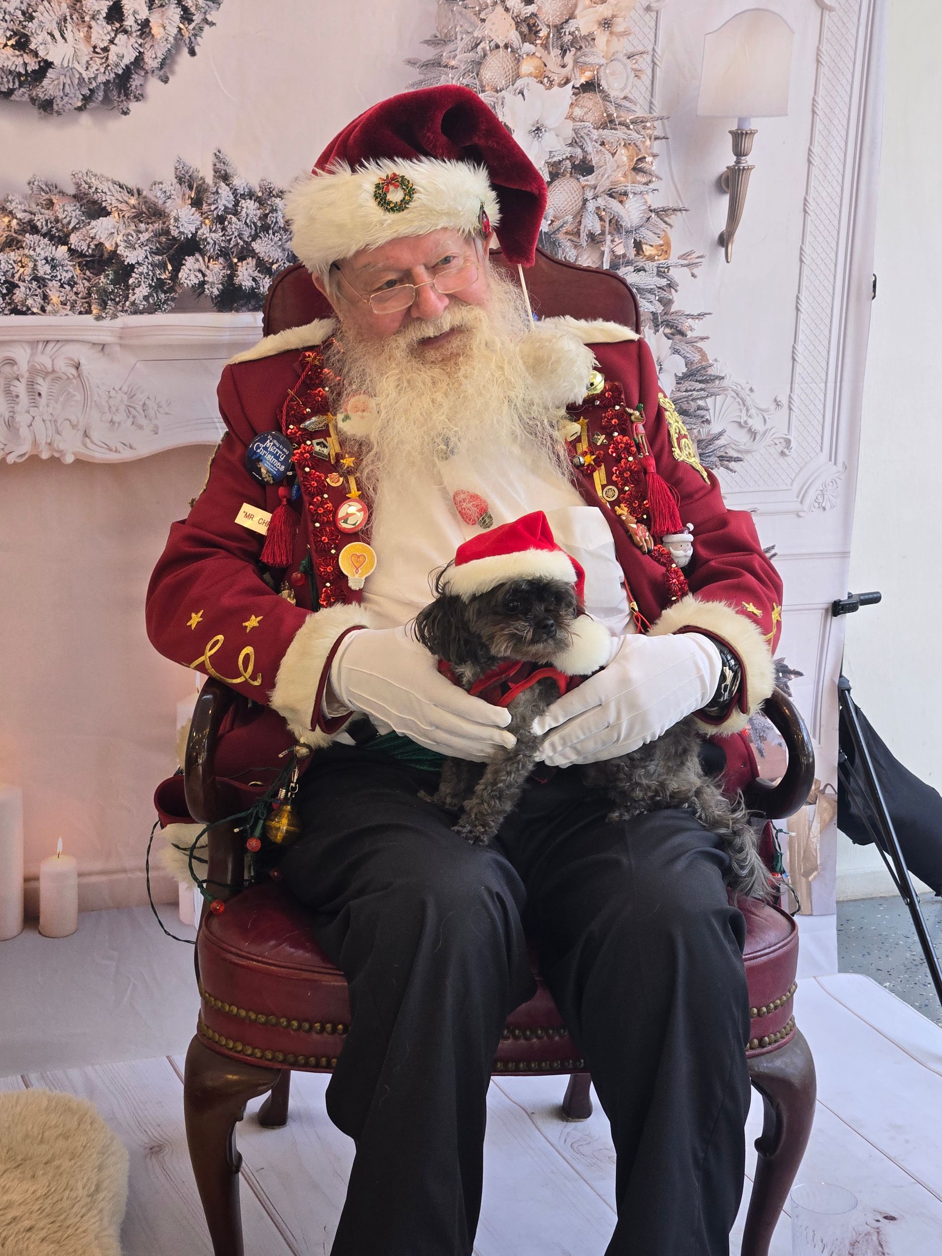 Santa claus is sitting in a chair holding a small dog.
