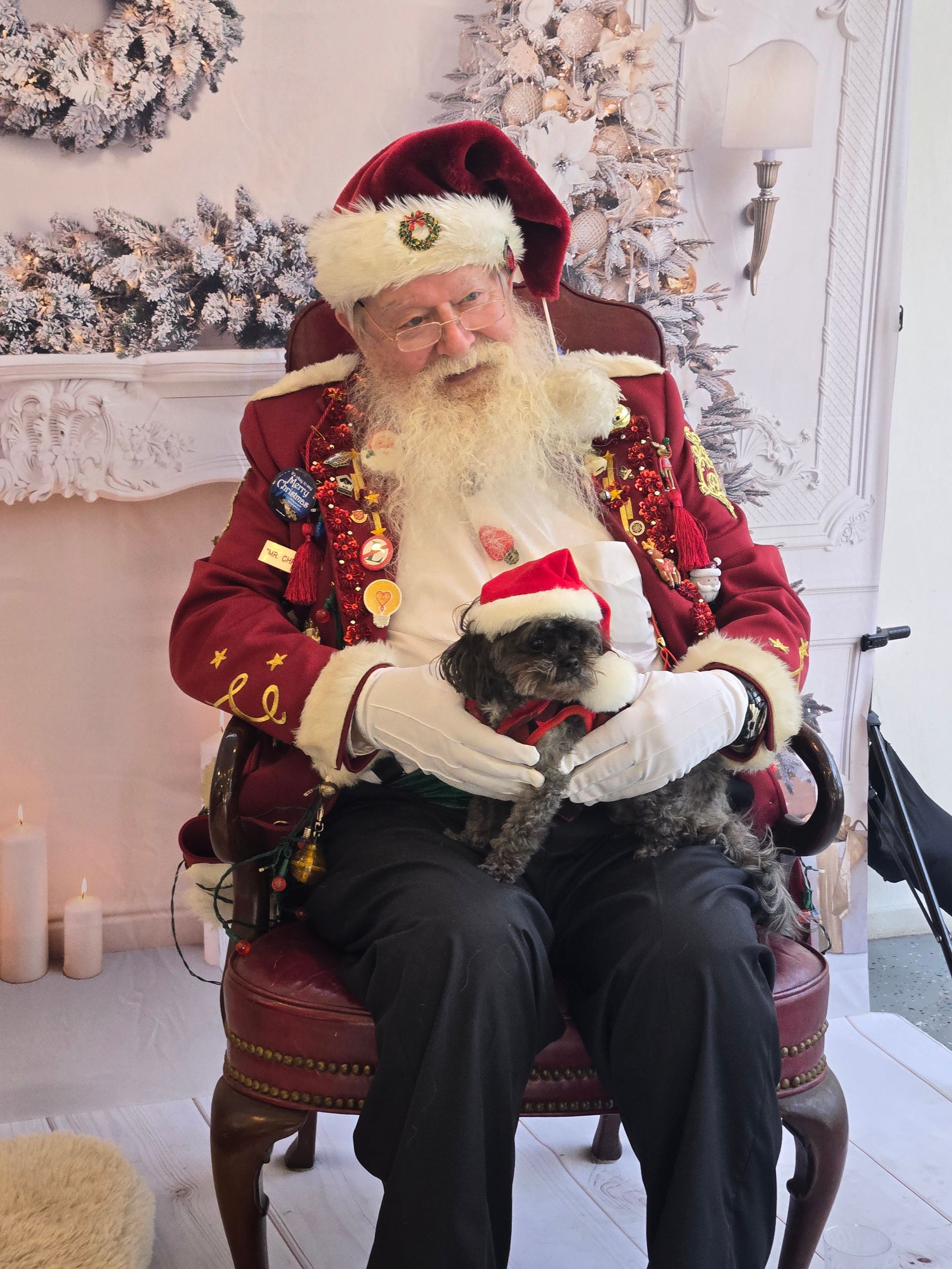 A man dressed as santa claus is sitting in a chair holding a small dog.