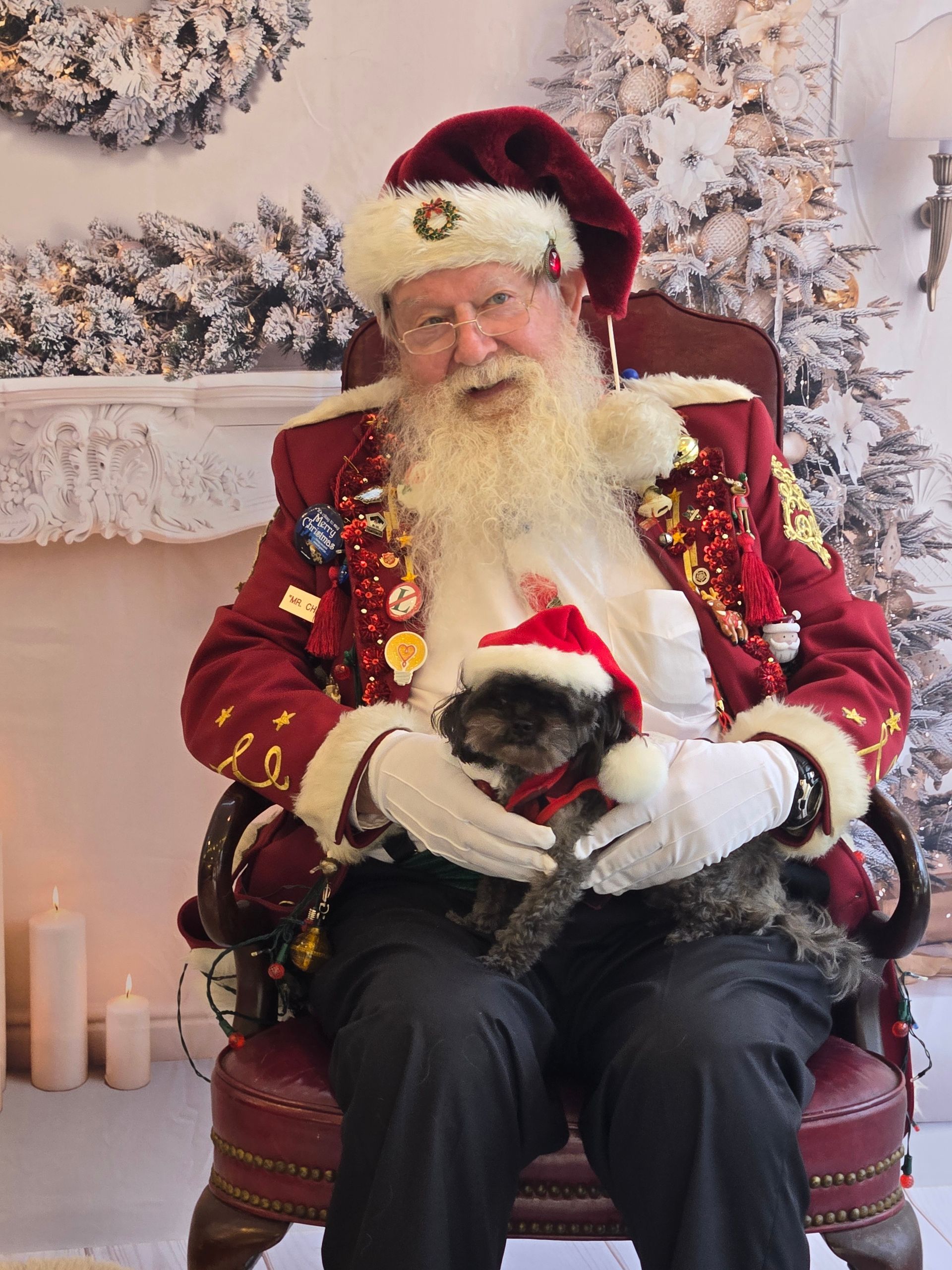 Santa claus is sitting in a chair holding a small dog.