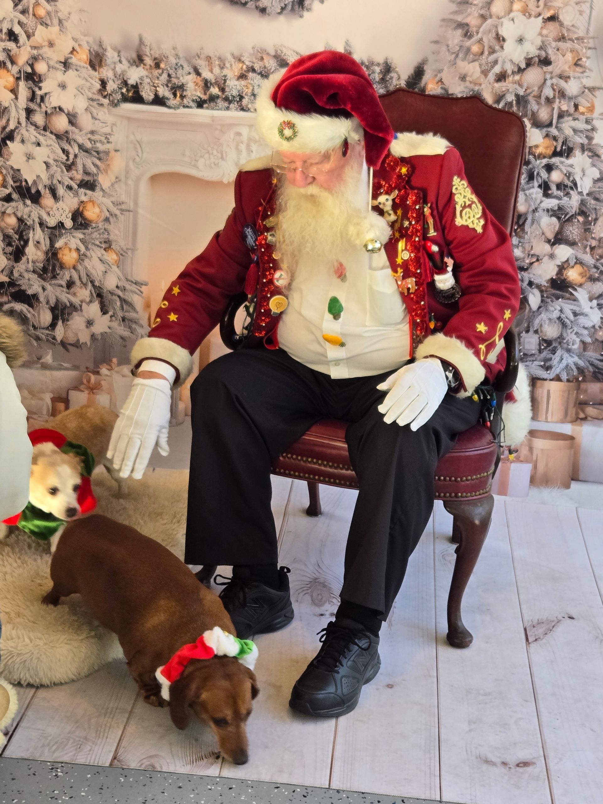 A man dressed as santa claus is sitting in a chair with a dog