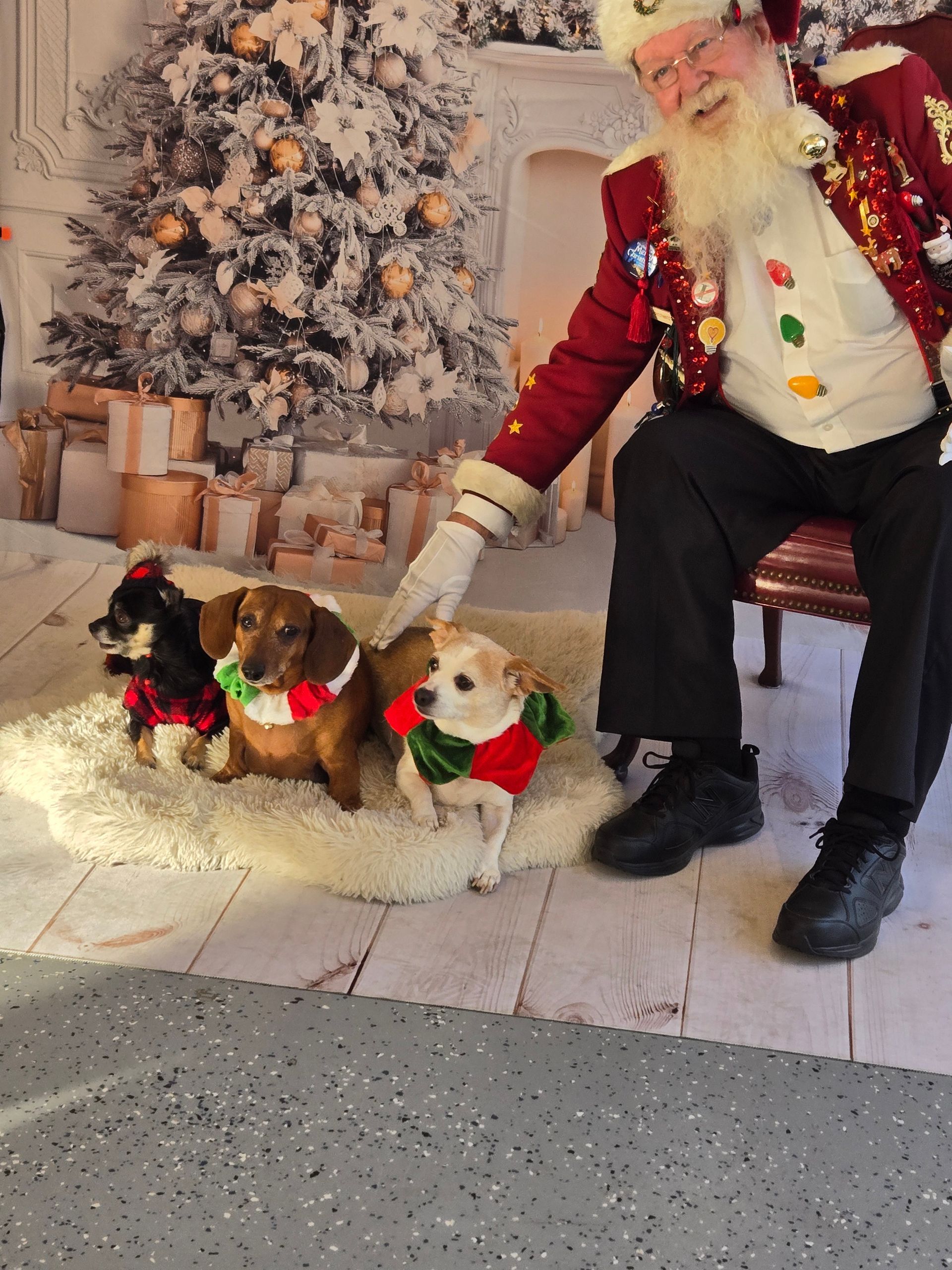 A man dressed as santa claus is sitting next to three dogs