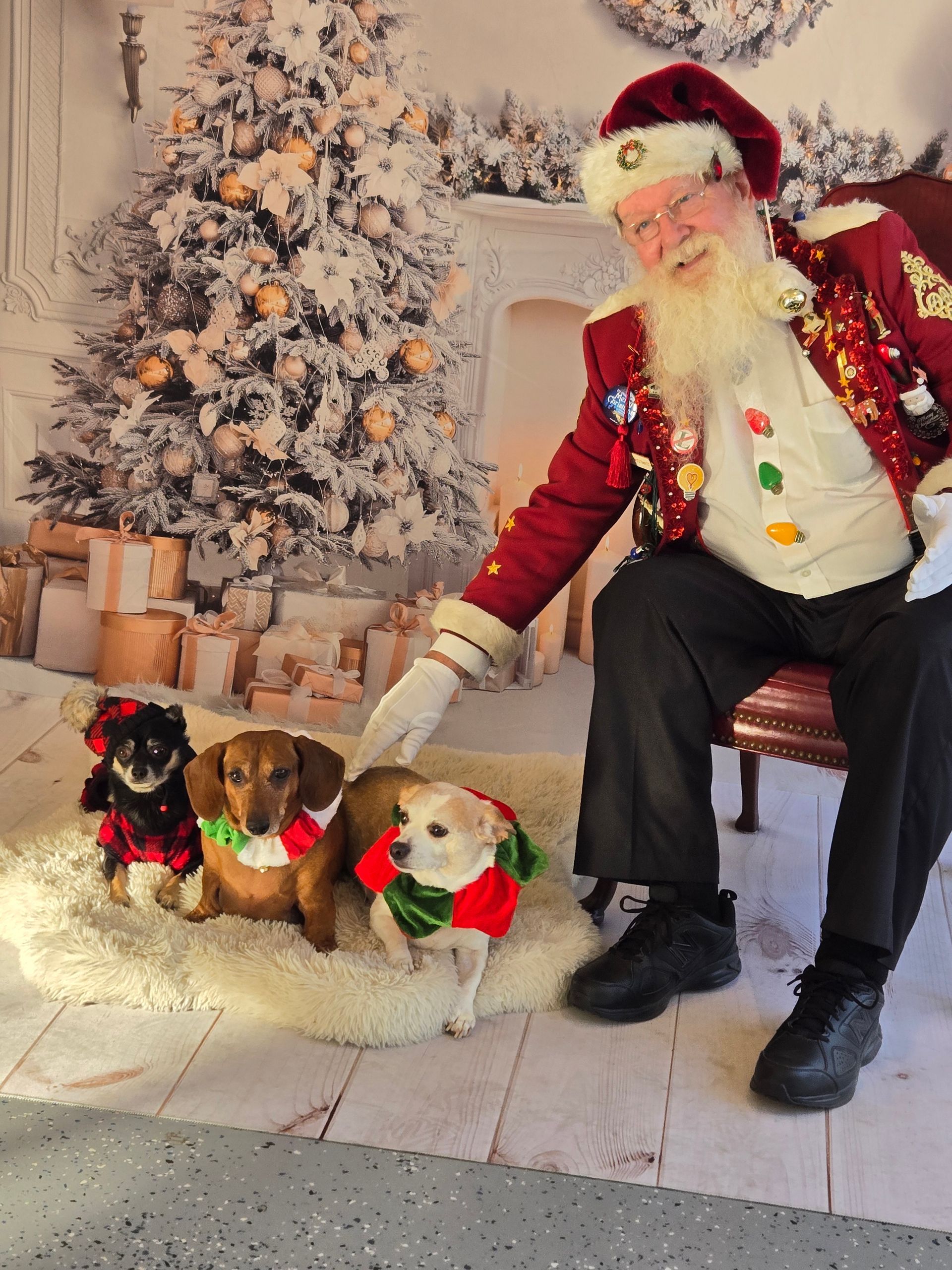 A man dressed as santa claus is sitting next to three dogs.