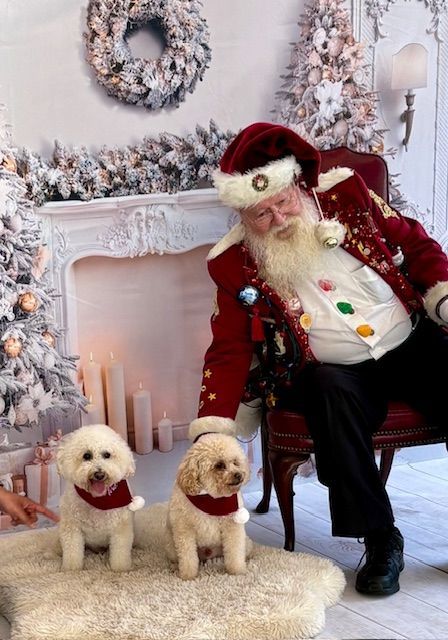 Santa claus is sitting in a chair with two dogs
