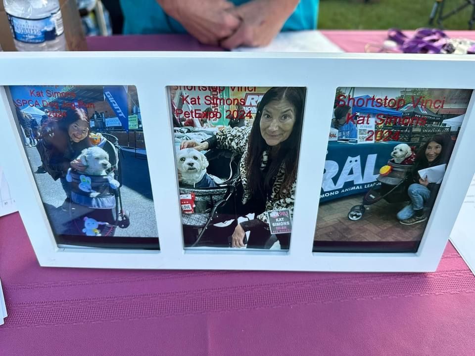 Three pictures of a woman and two dogs are in a frame on a table.