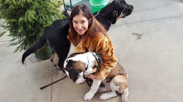 A woman is hugging two dogs on a sidewalk.