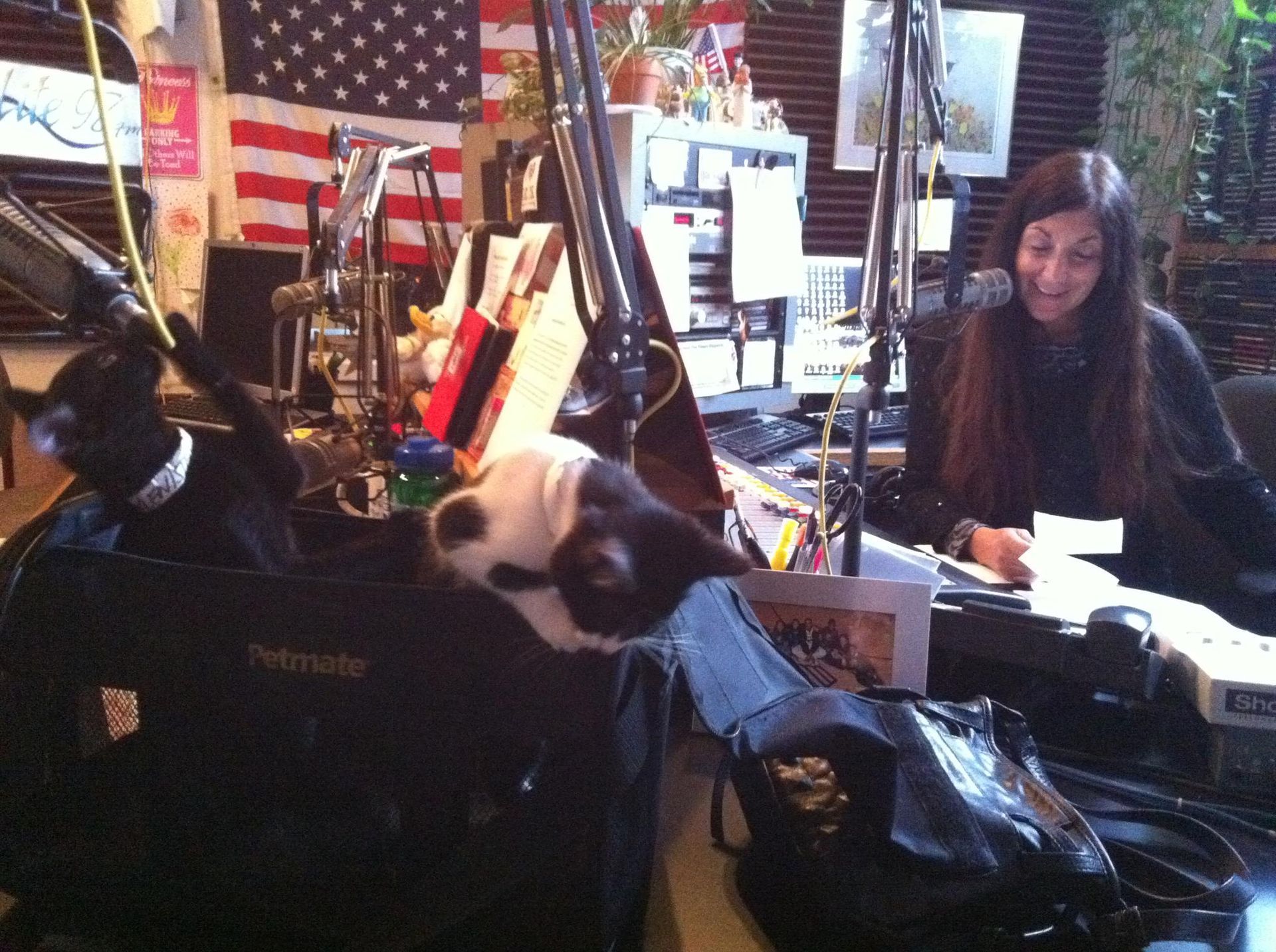 A woman sits at a desk with a laptop and a cat