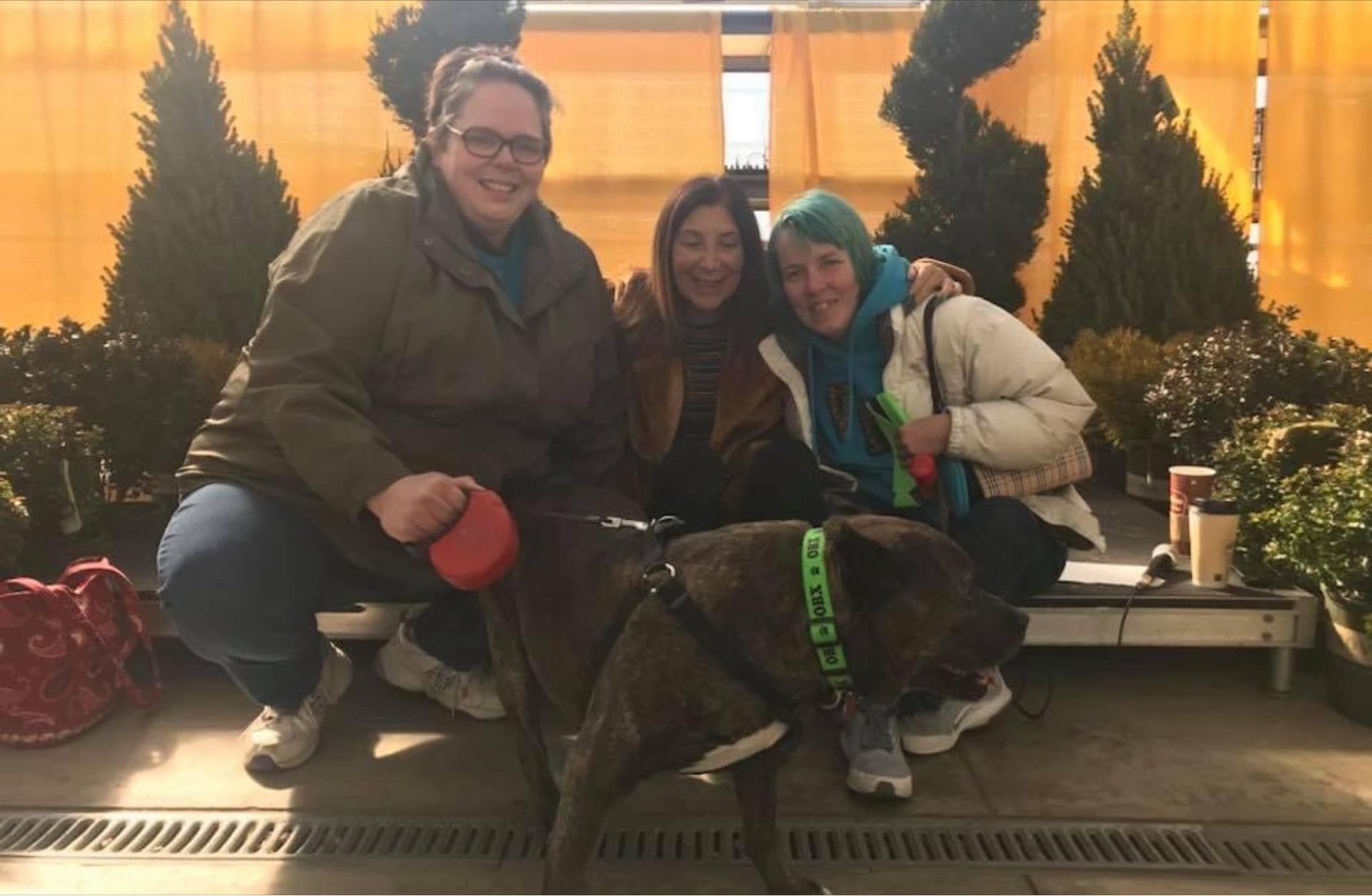 Three women are posing for a picture with a dog with a green collar