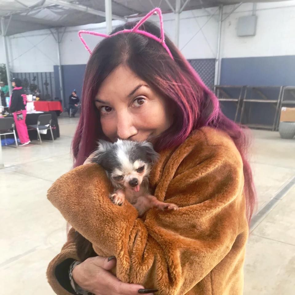 A woman with purple hair is holding a small dog