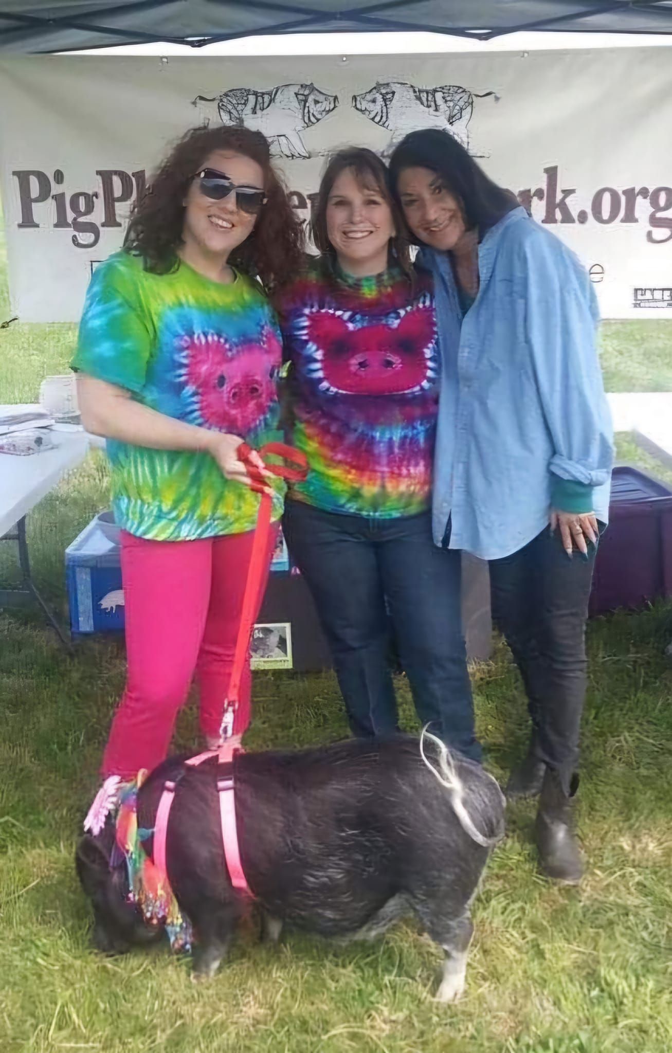 Three women are posing for a picture with a pig.