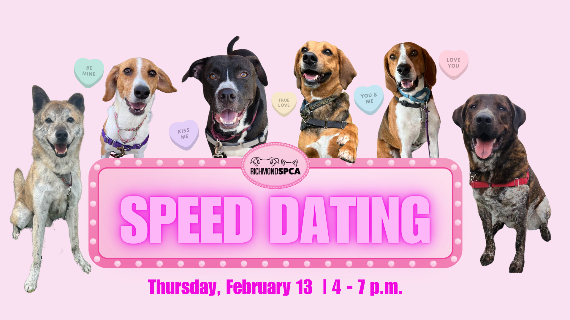 A group of dogs are standing in front of a sign that says speed dating