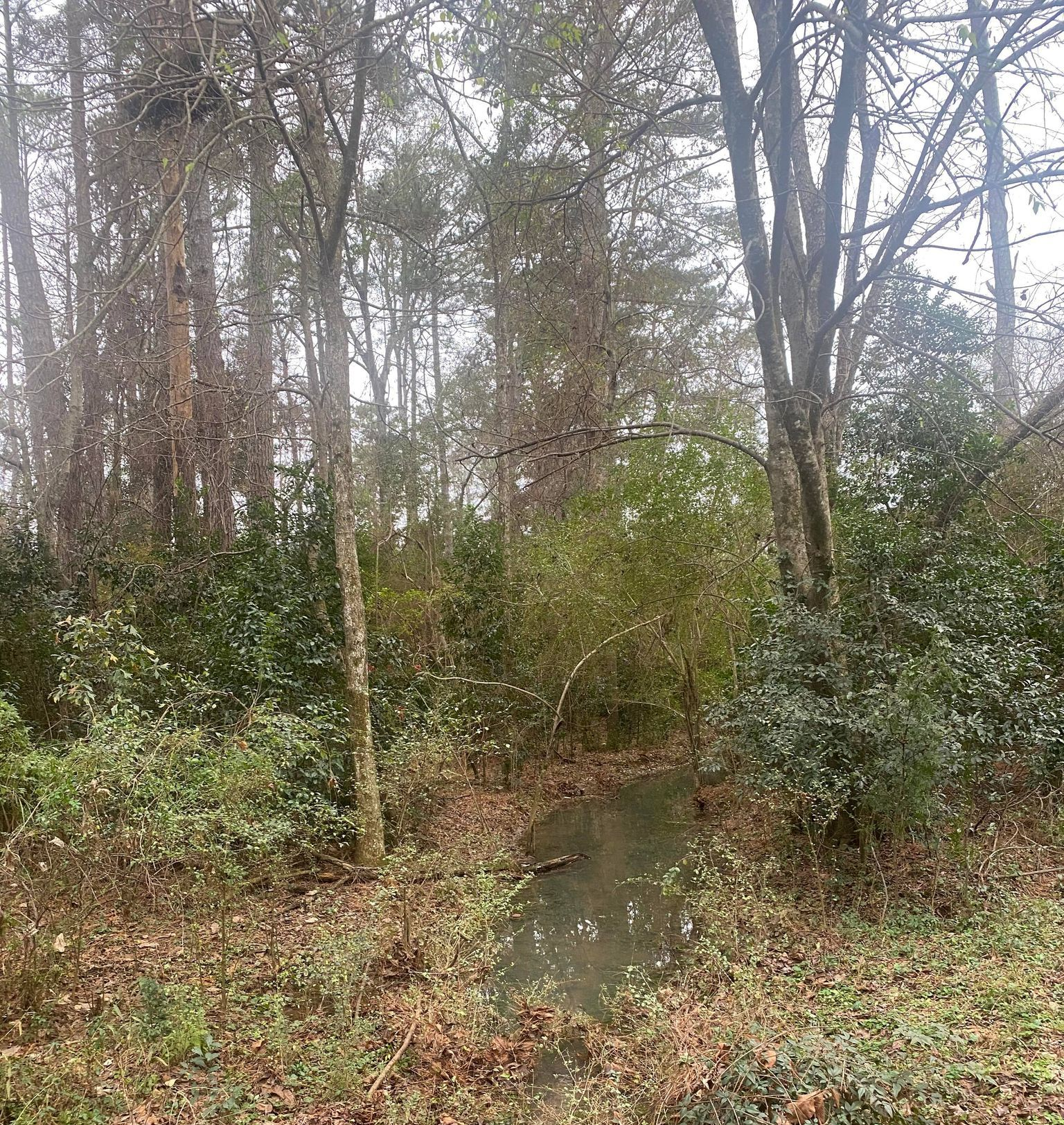 Ashley Road,
Americus, GA 31709