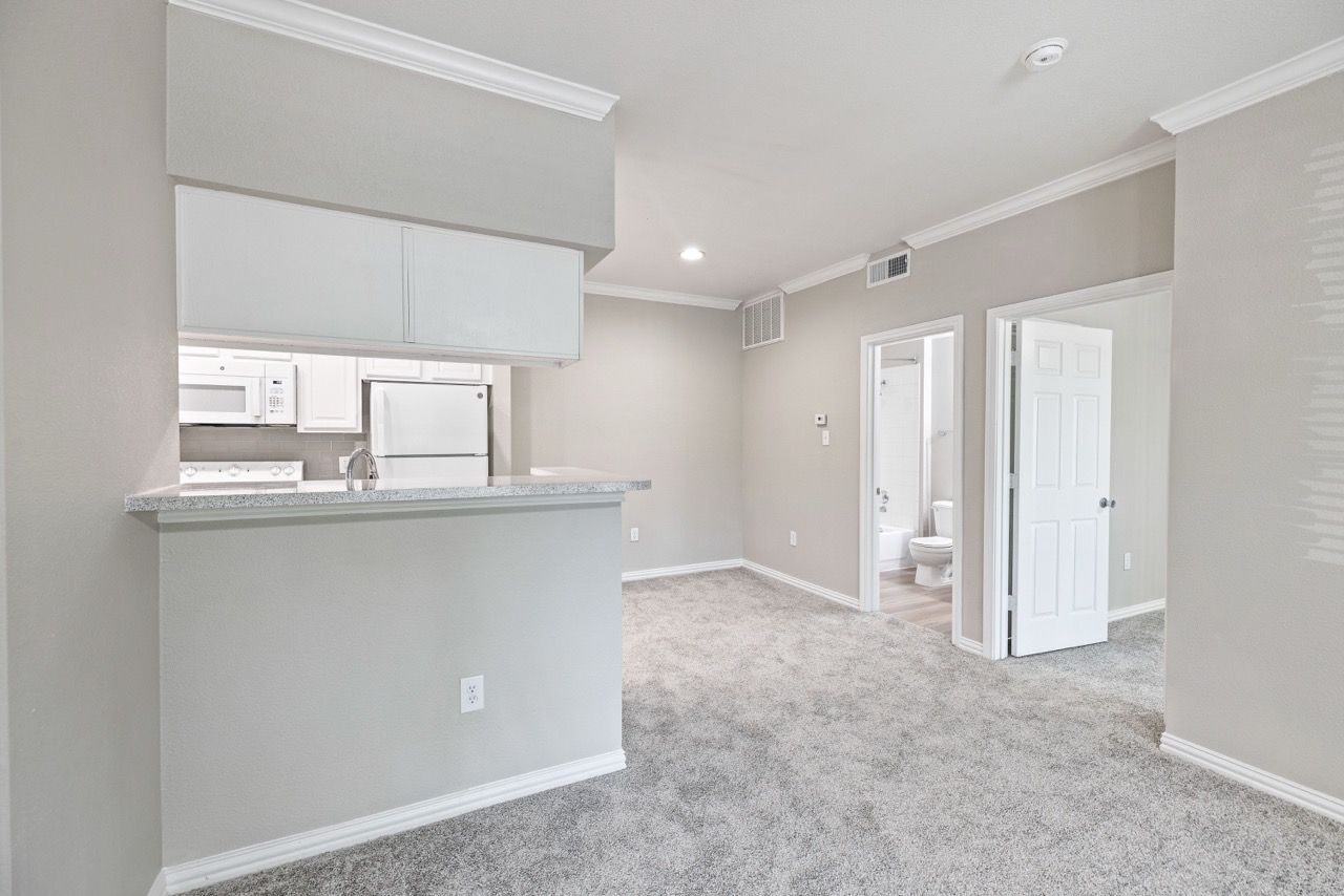 Open-concept apartment living area with a kitchen pass-through and carpeting.