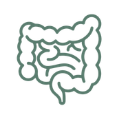 Orthomoleculaire begeleiding voor darmgezondheid en een gezond microbioom.