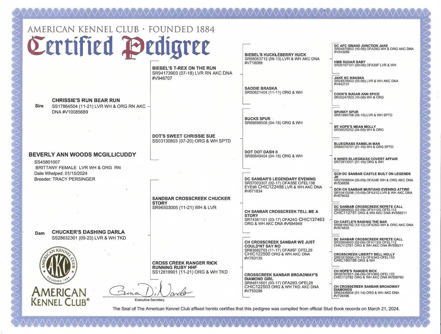 AKC certified dog pedigree certificate with ancestor details; includes the AKC logo and seal.