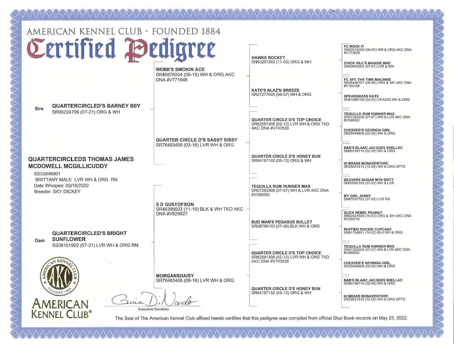 American Kennel Club Certified Pedigree. A dog's lineage with blue and red border.