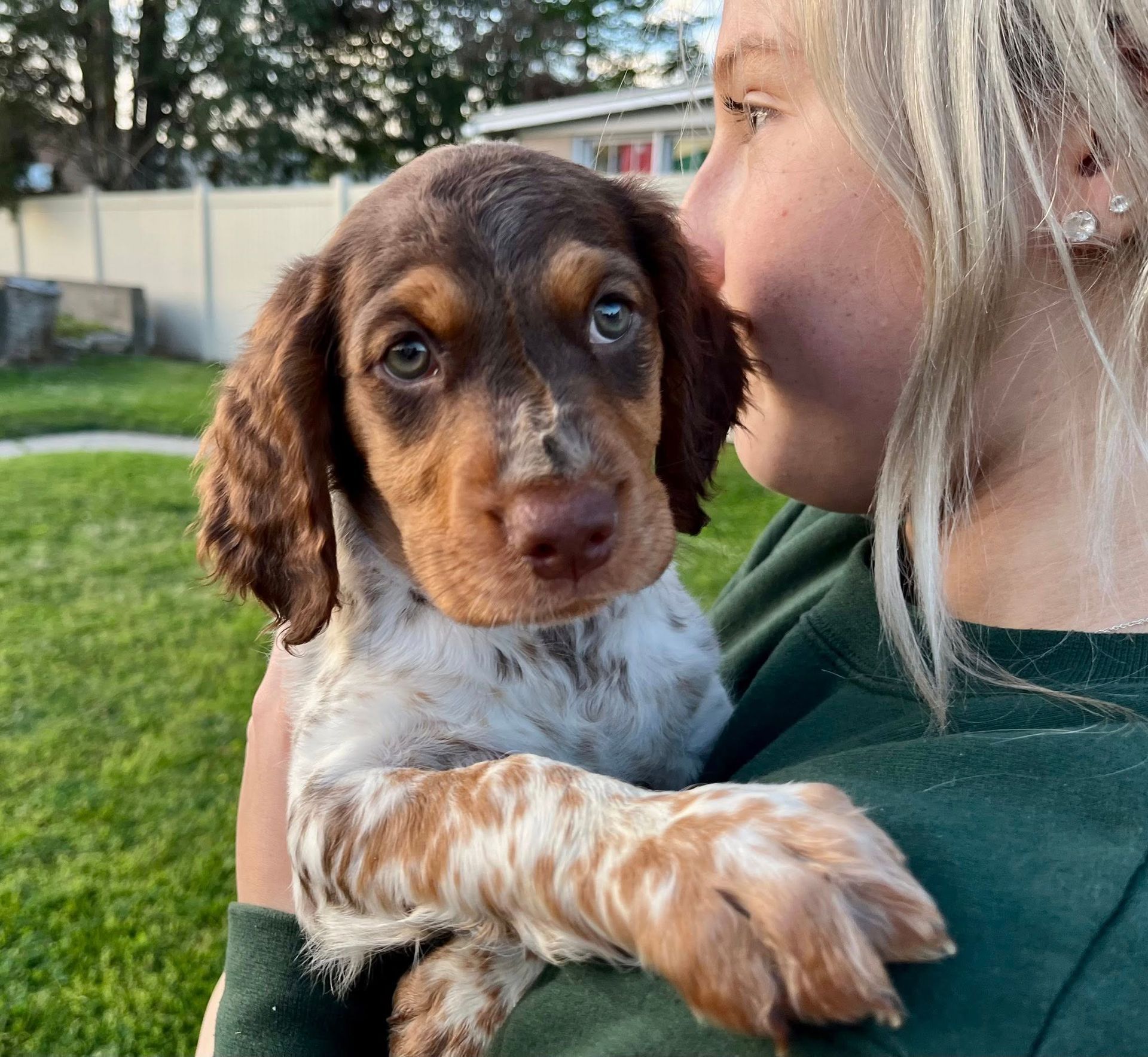 Woman holding a speckled brown and white puppy outdoors. The puppy has brown ears, a brown nose, and blue eyes.