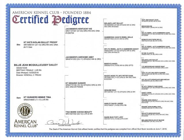 AKC certified pedigree for Willie Jean McMurphy Bailey, featuring a family tree.