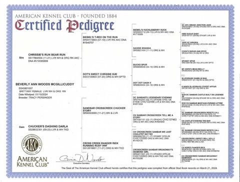 American Kennel Club certified pedigree certificate, blue border, detailing a dog's lineage.