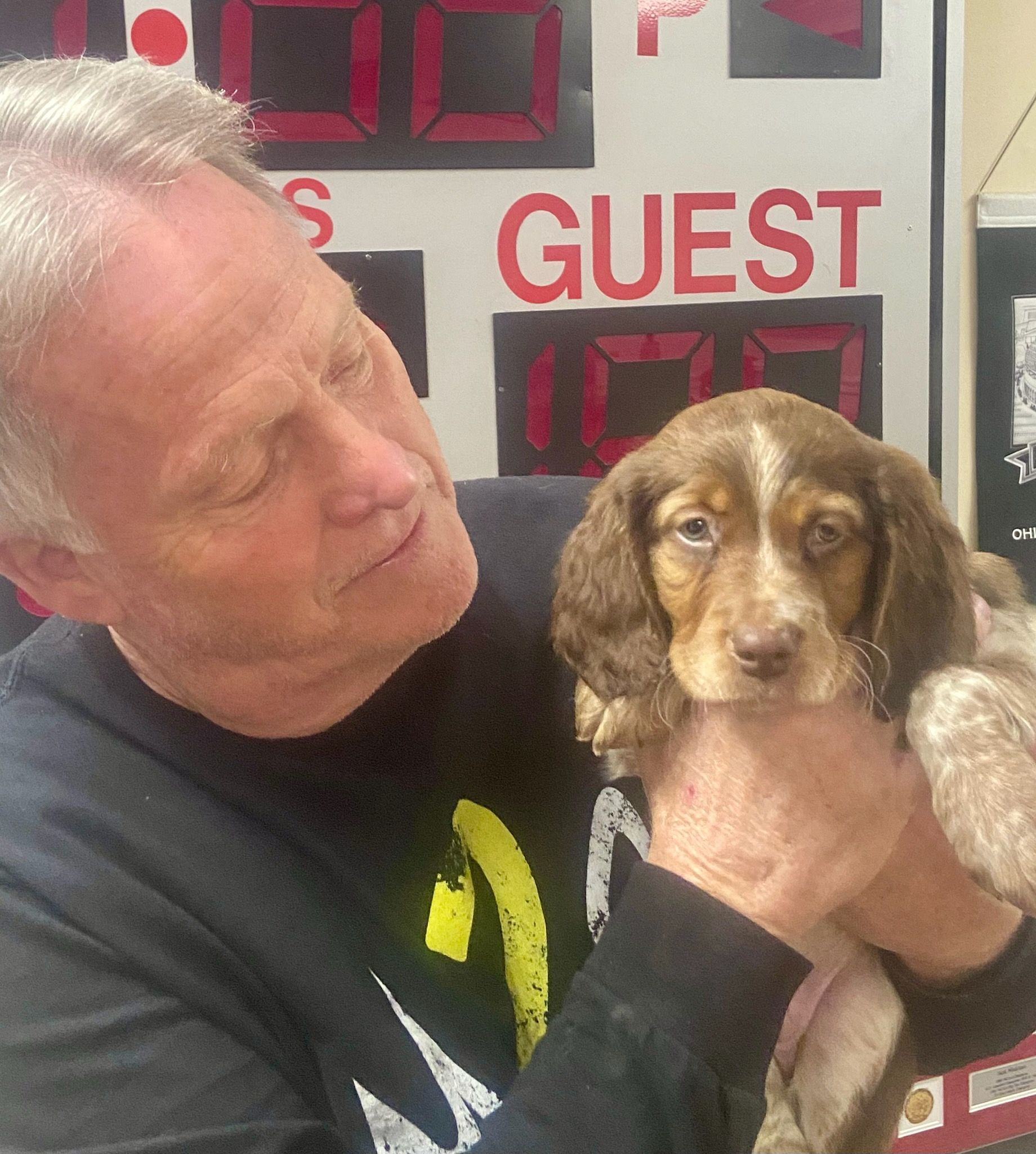 Man holding a small brown and white puppy; scoreboard in background.