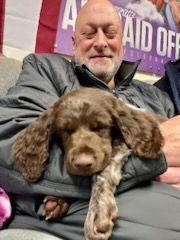 Man holding a brown and white dog. Both appear relaxed indoors. Purple and white poster in background.