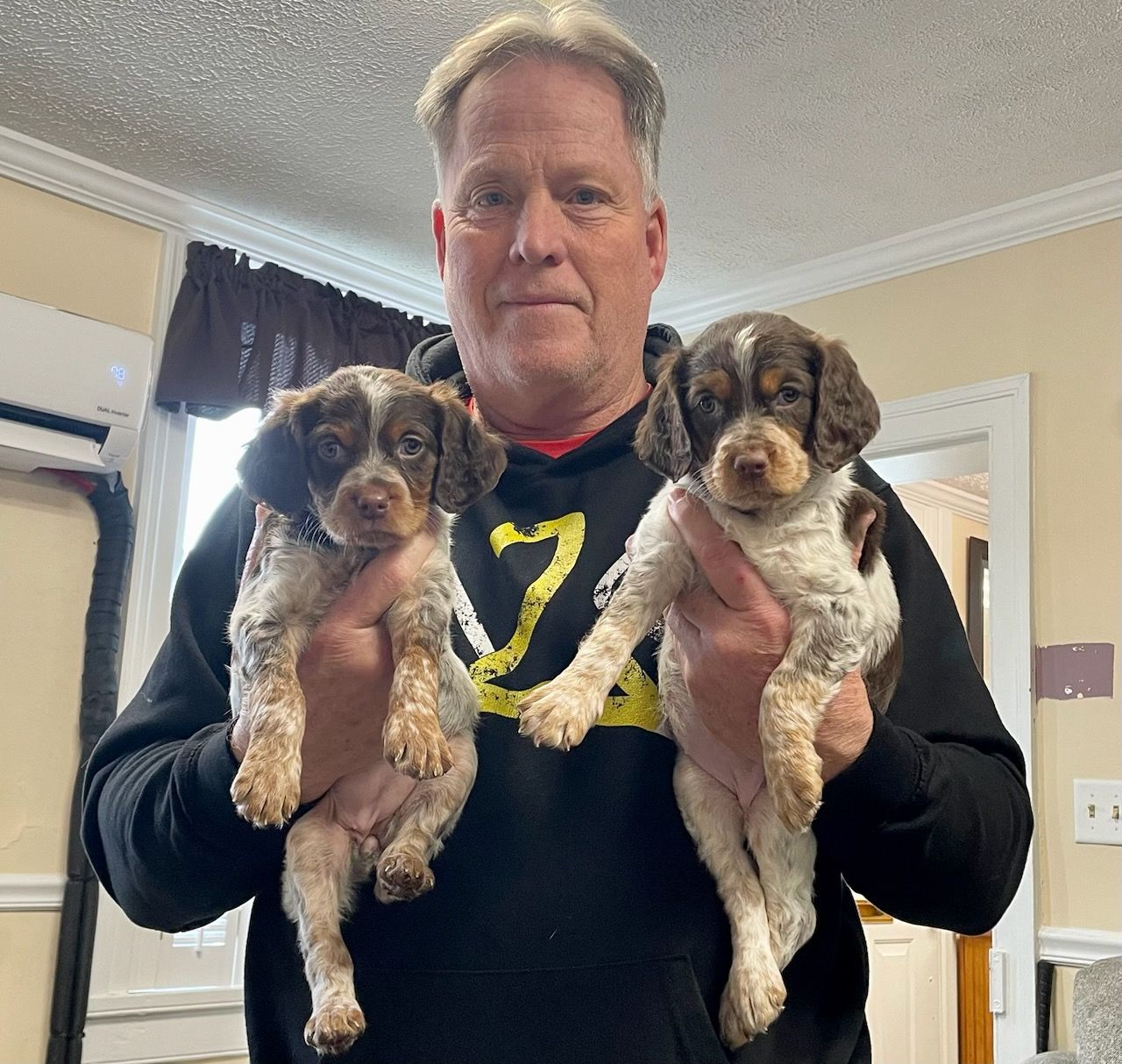 Man holding two brown and white puppies indoors.