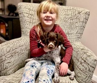 Girl with blonde hair smiles, holding a brown and white puppy on a patterned armchair. Fireplace in the background.