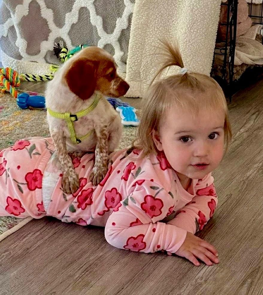 A puppy sits on a toddler's back, both looking toward the camera indoors. The child wears pink floral pajamas.