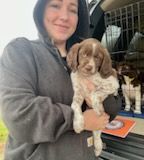 Woman in gray hoodie holding a brown and white puppy; another dog in the background.