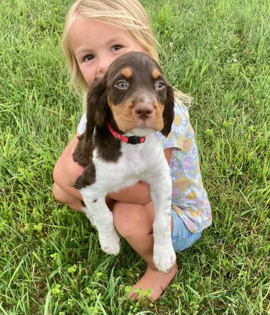 Young child holding a brown and white puppy outside in the grass.