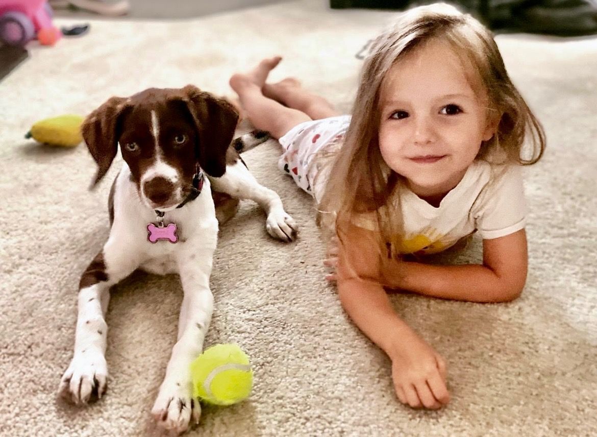 A child and a brown and white dog lie side-by-side on a carpet, smiling at the camera. A tennis ball is nearby.