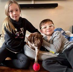 Two children with a brown and white dog on a dog bed. Girl in black, boy in gray shirt.