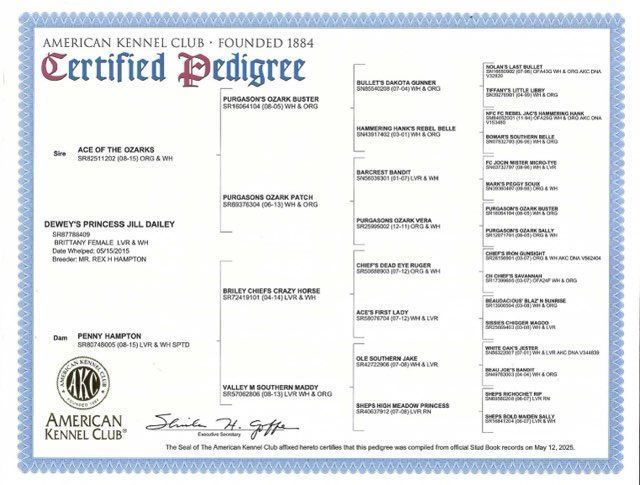AKC certified dog pedigree with lineage. White and blue document.