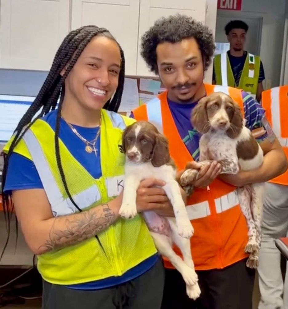 Two people in vests holding two puppies indoors. One person smiles, the other looks at the camera.