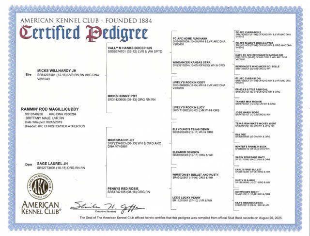 American Kennel Club certified pedigree certificate with dog's lineage.