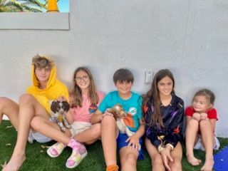 Five people sitting on grass, holding small dogs, against a light wall.