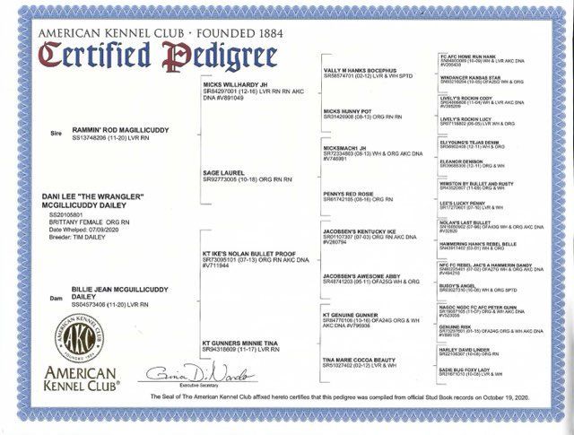 AKC certified pedigree chart with dog's lineage, names, and American Kennel Club logo.