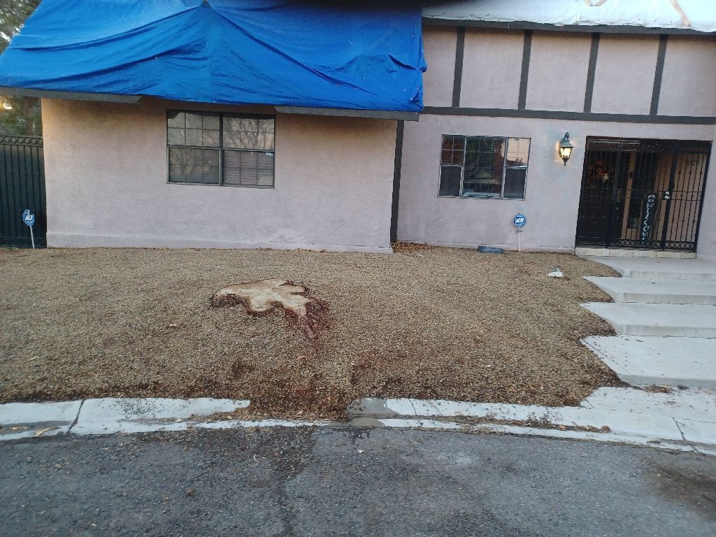 House with blue tarp on the roof, a large stump in a gravel yard, and a black fence.