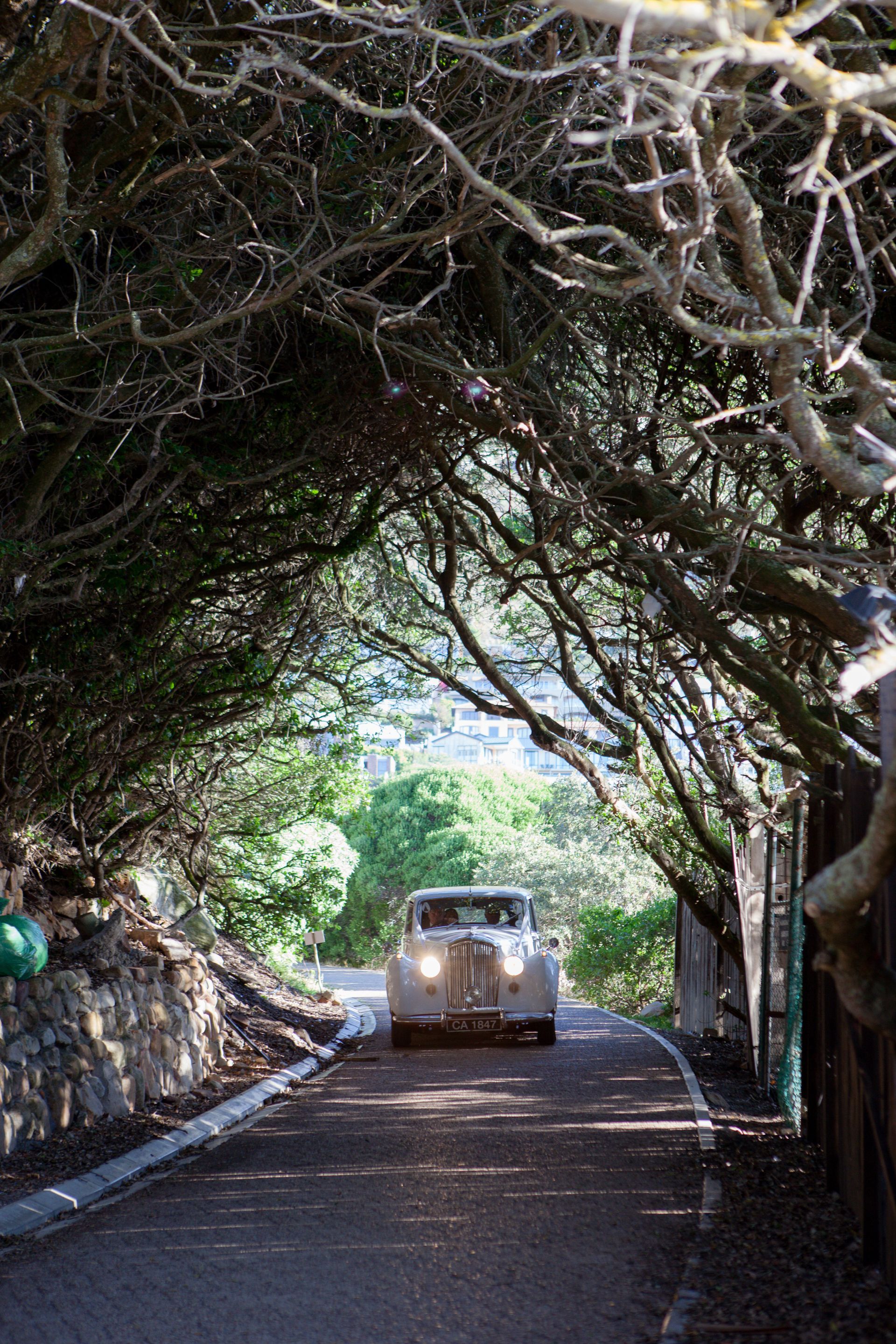 A white car is driving down a tree lined road.