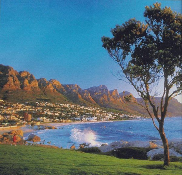 A tree stands in front of a body of water with mountains in the background