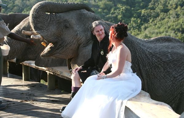 A bride and groom are sitting next to an elephant