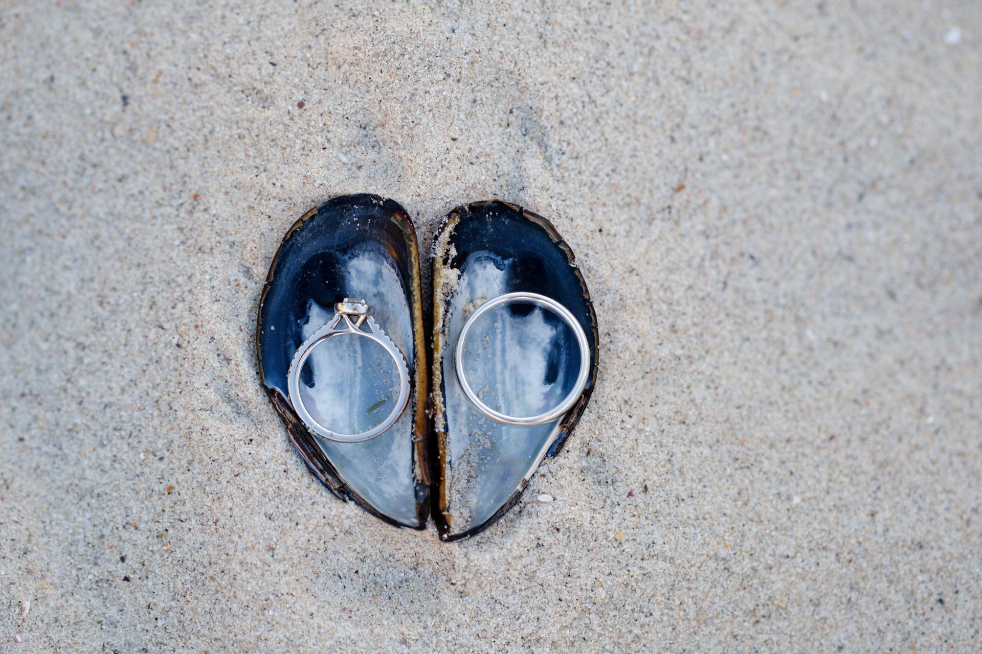 A pair of wedding rings in a heart shaped shell on the beach.