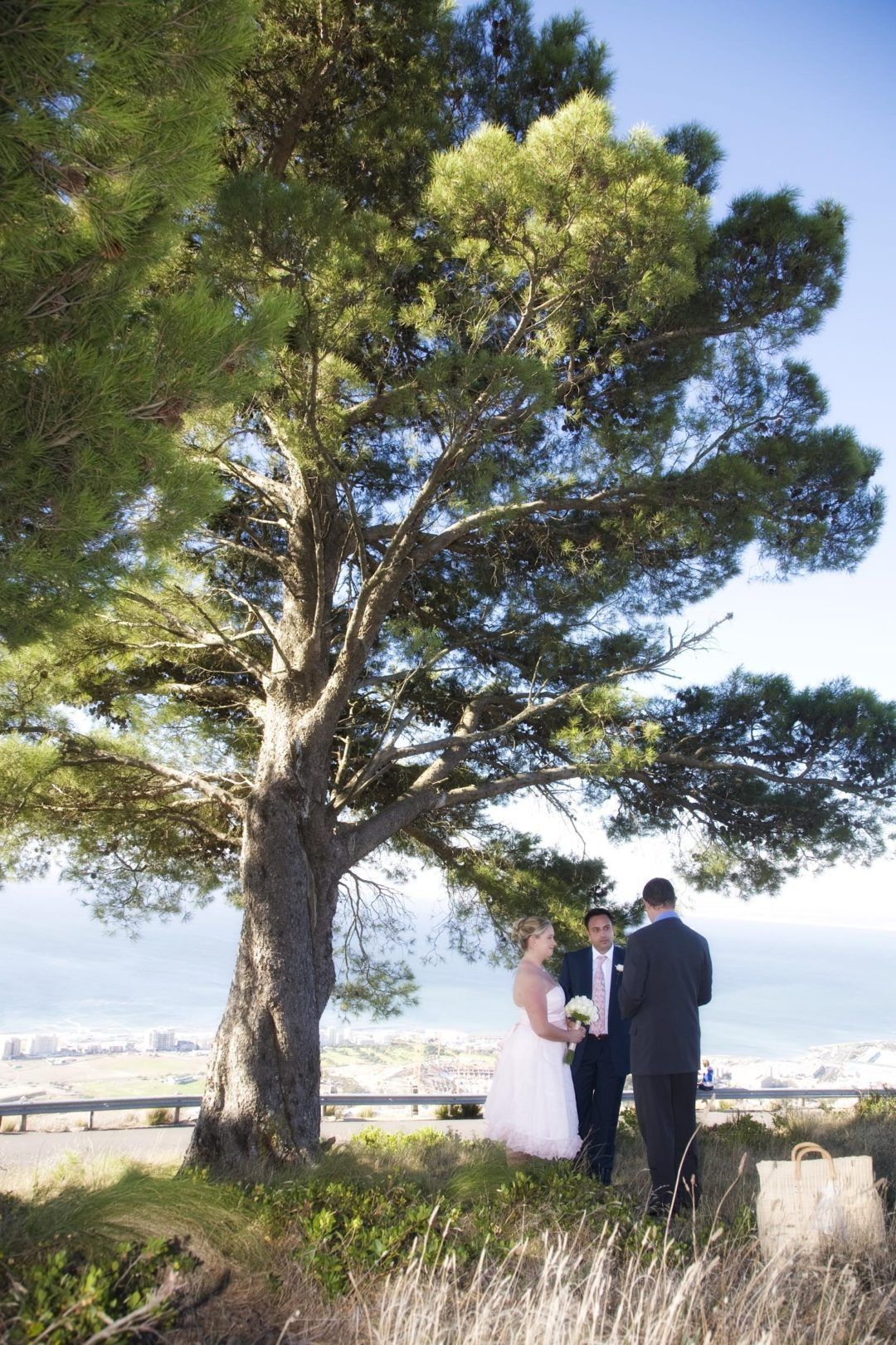 A bride and groom are standing under a pine tree.